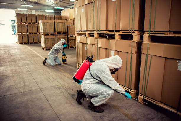 Best Residential Pest Control  in Mountain View, HI
